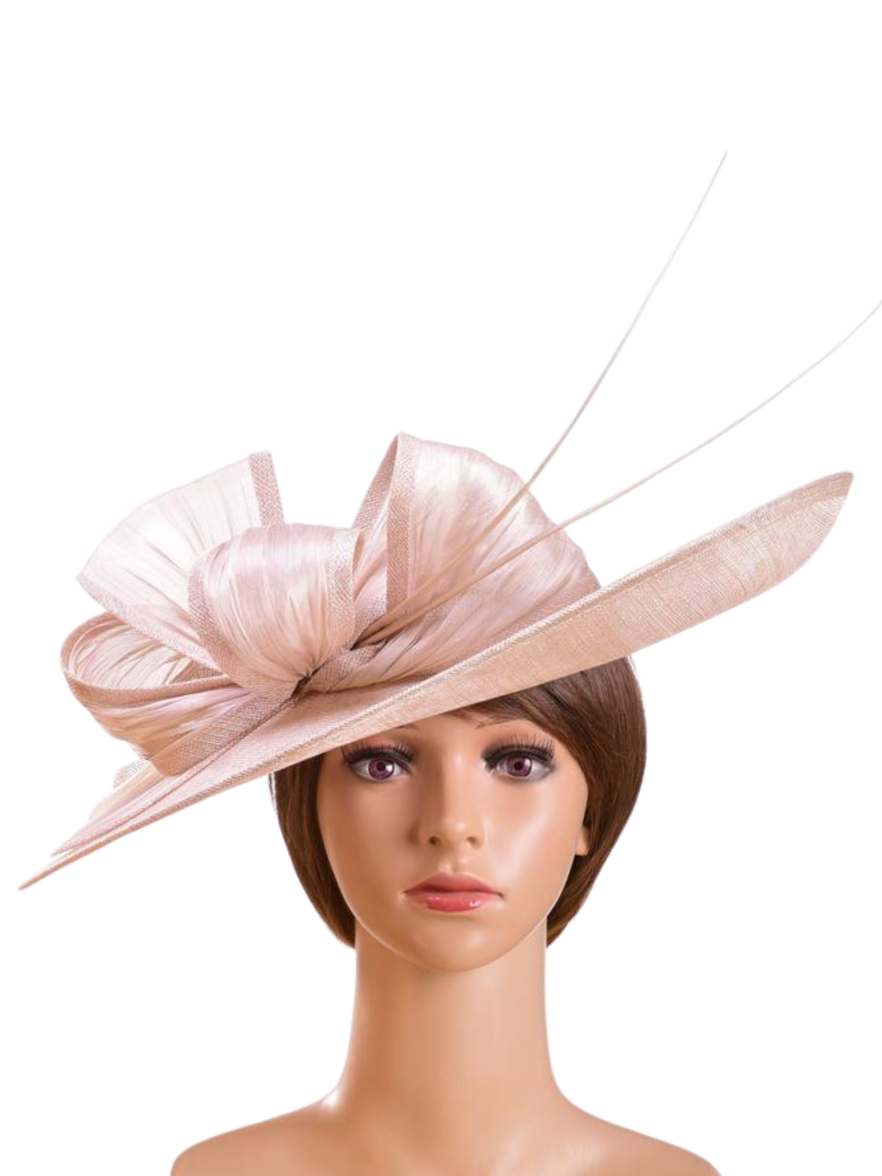 Max & Ellie BD6 Hatinator