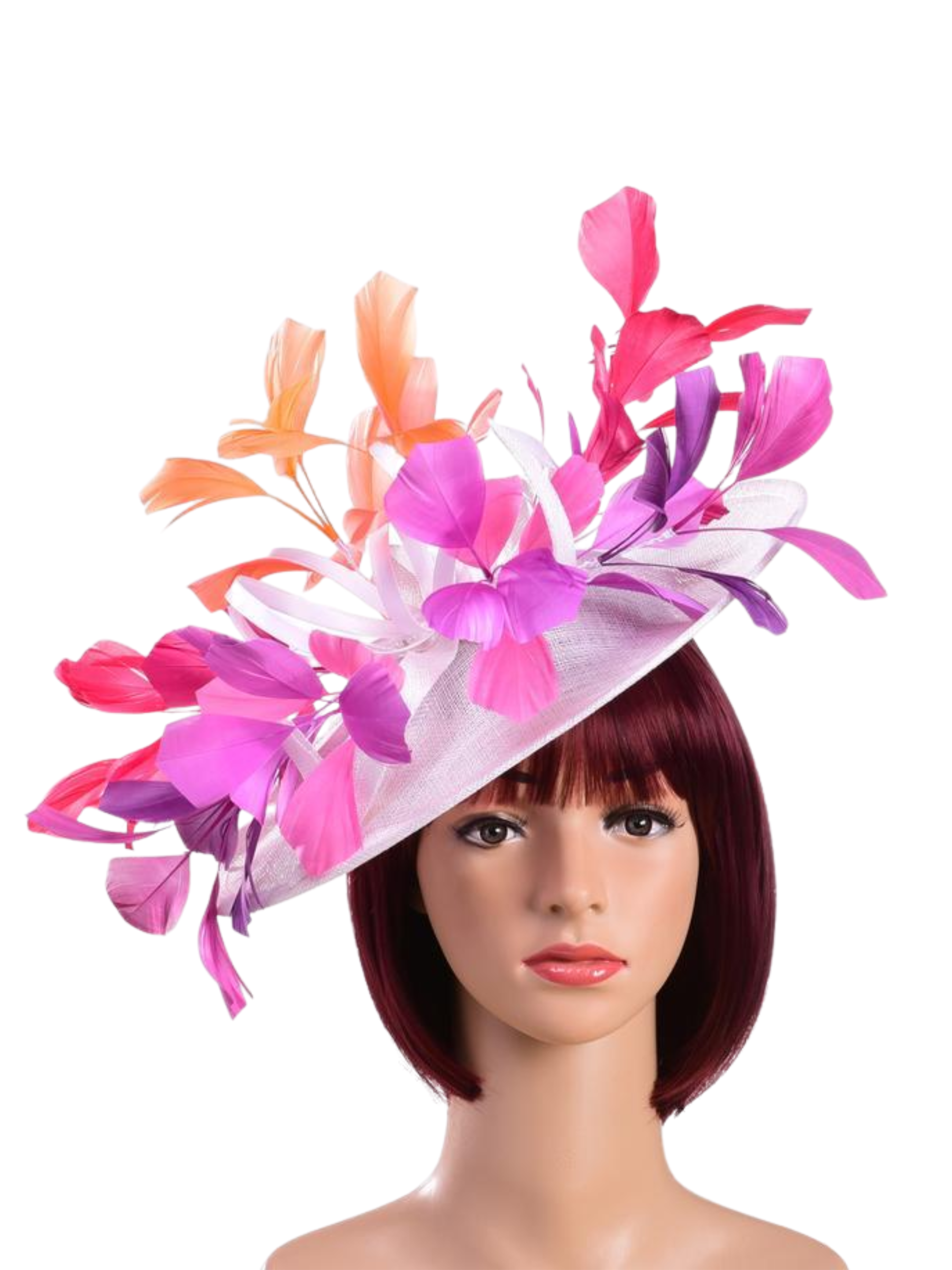 Max & Ellie ND5 Disc