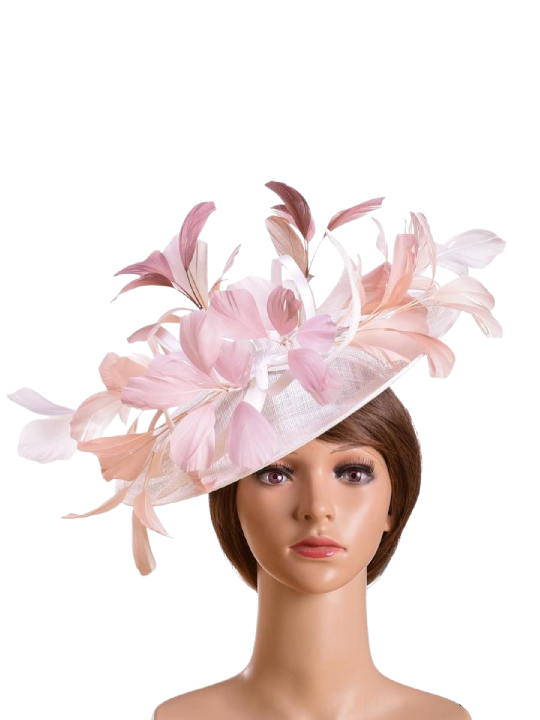 Max & Ellie ND5 Disc