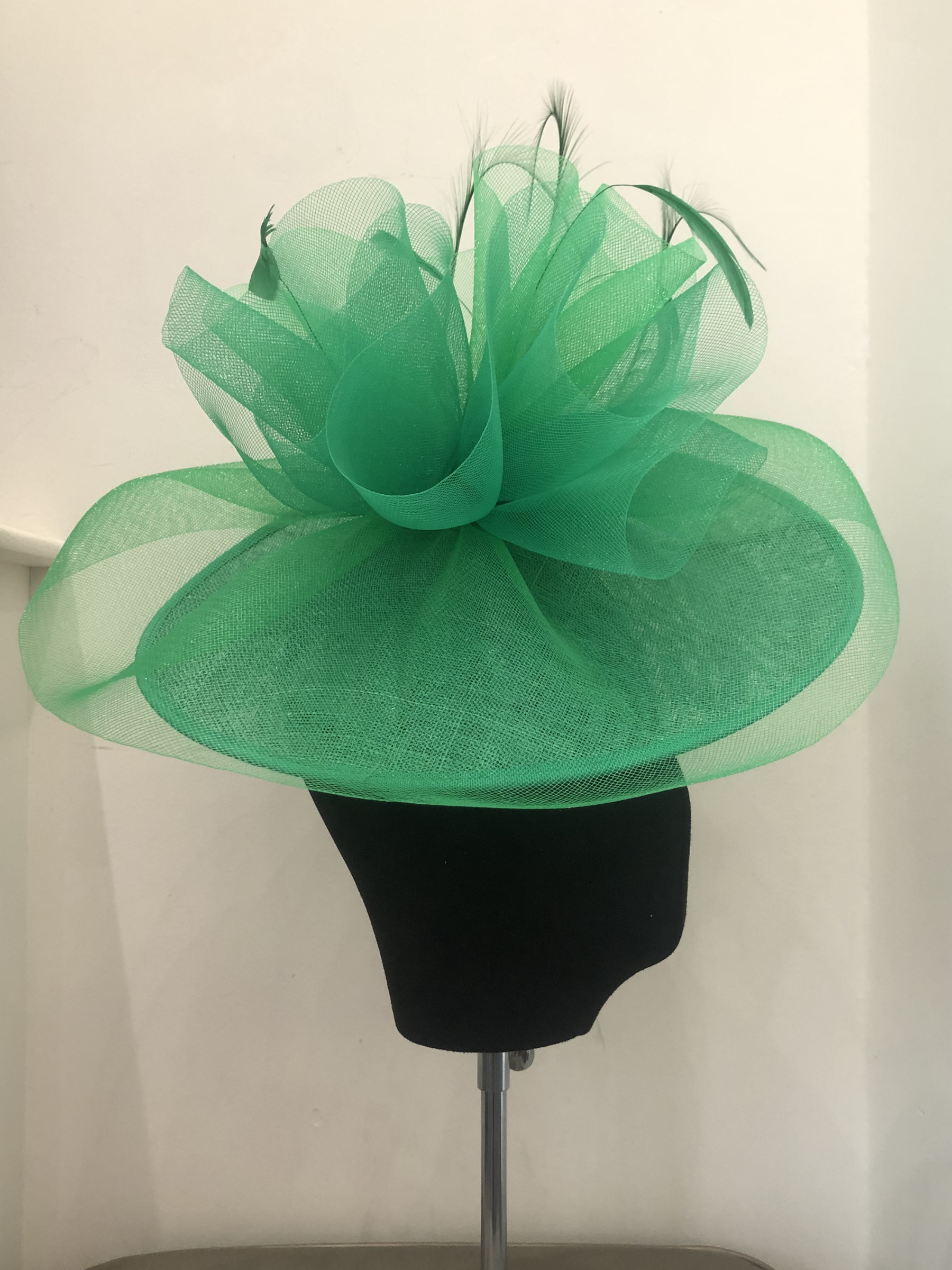 Niche 11916 Hatinators