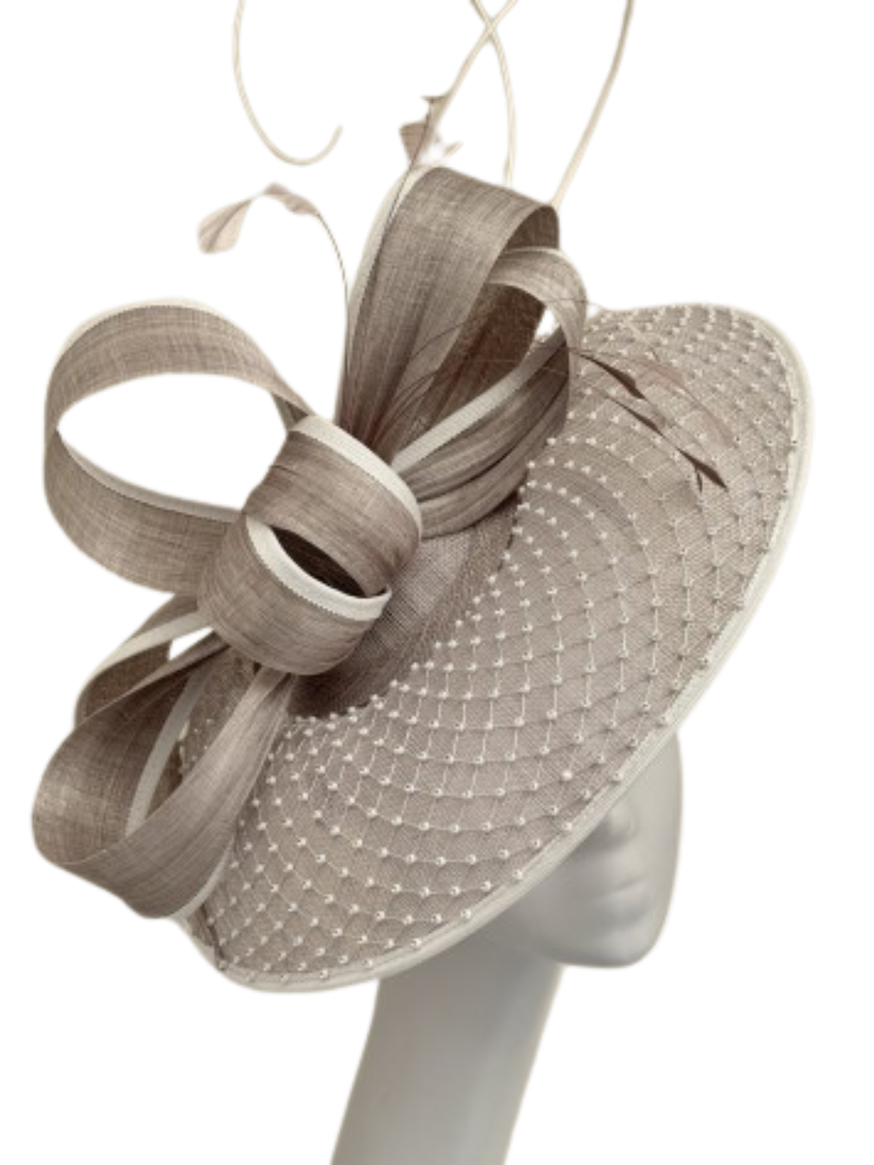 Snoxell & Gwyther 2519