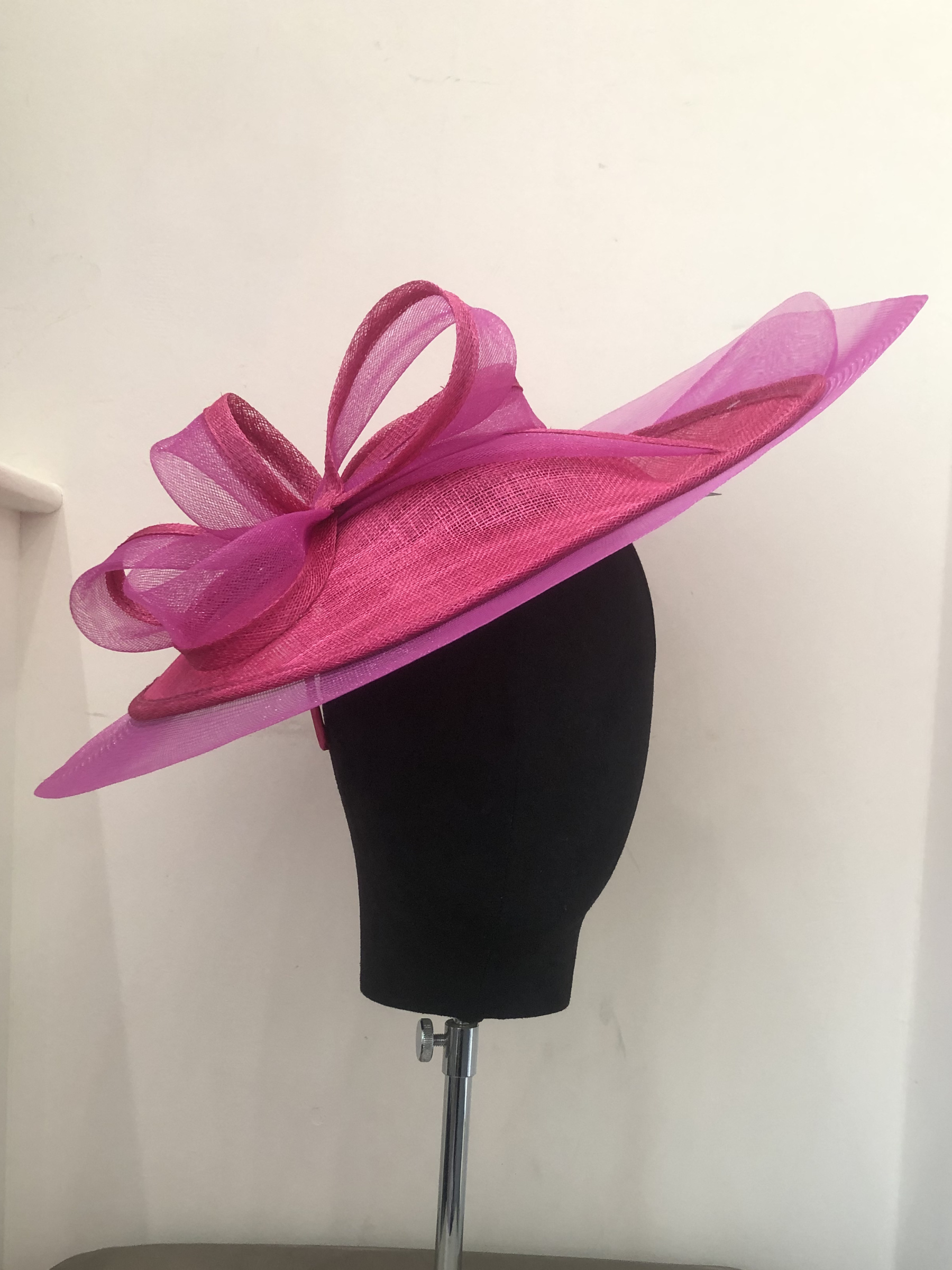 Niche 255013 Hatinators